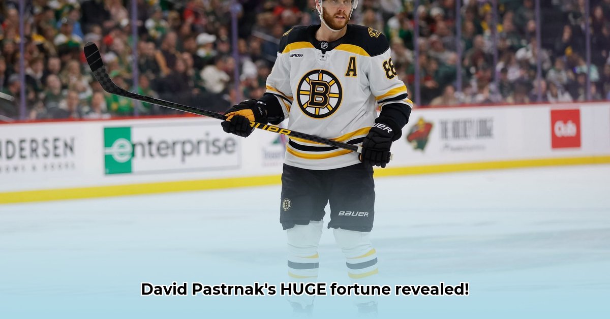 david-pastrnak-net-worth